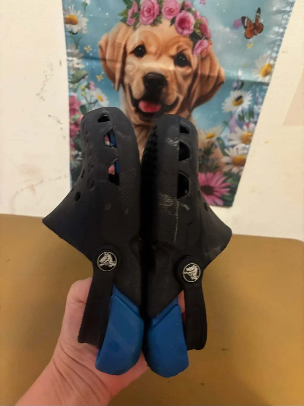 CROCS Kids Black and Blue Slip-On Clogs with Strap